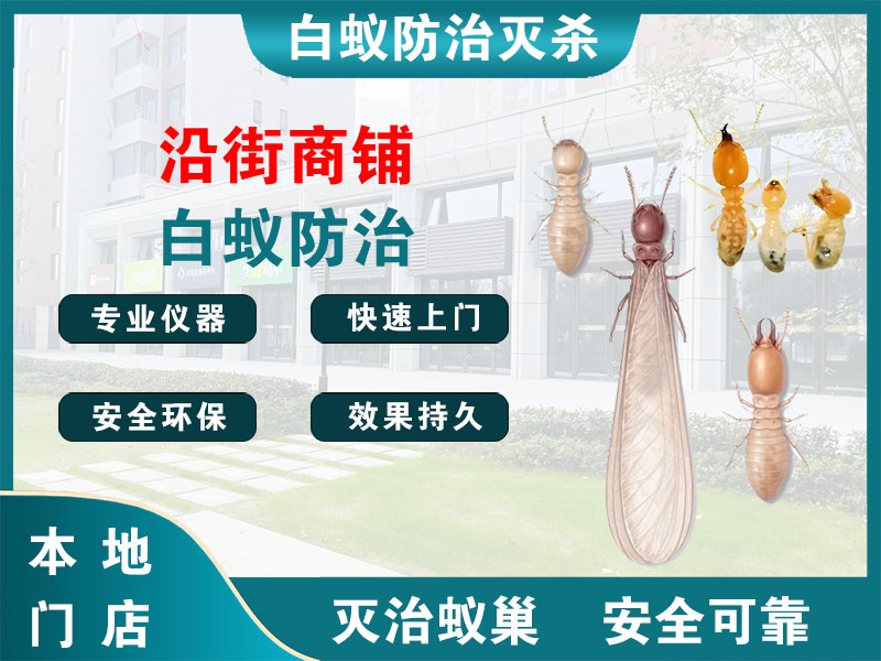 锡山区沿街商铺白蚁防治