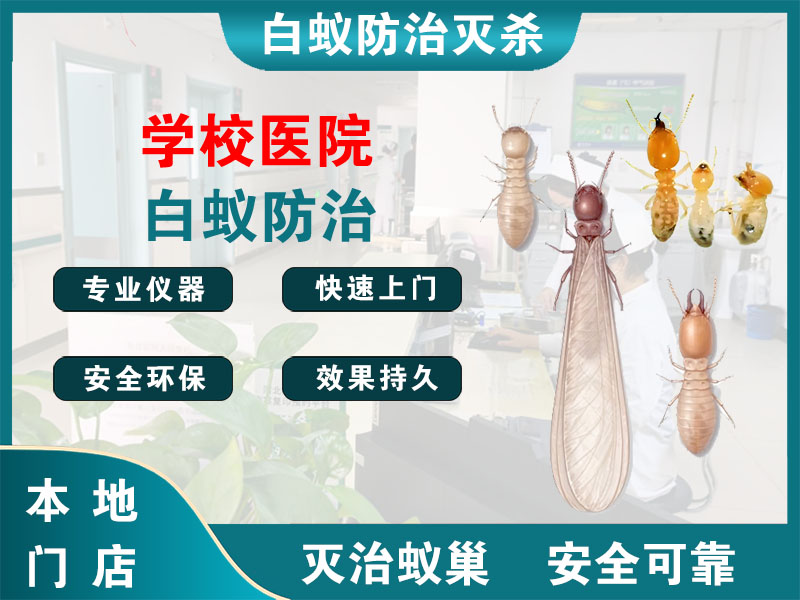 锡山区学校医院白蚁防治