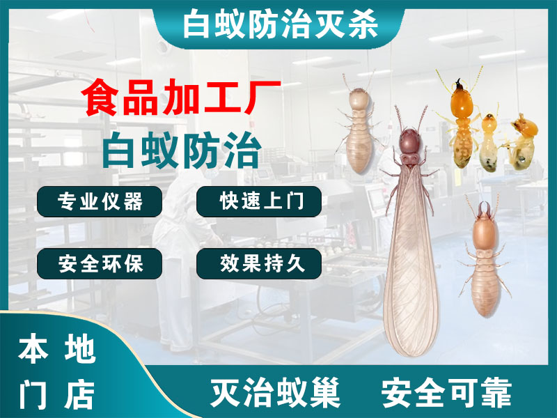 锡山区食品加工厂白蚁防治