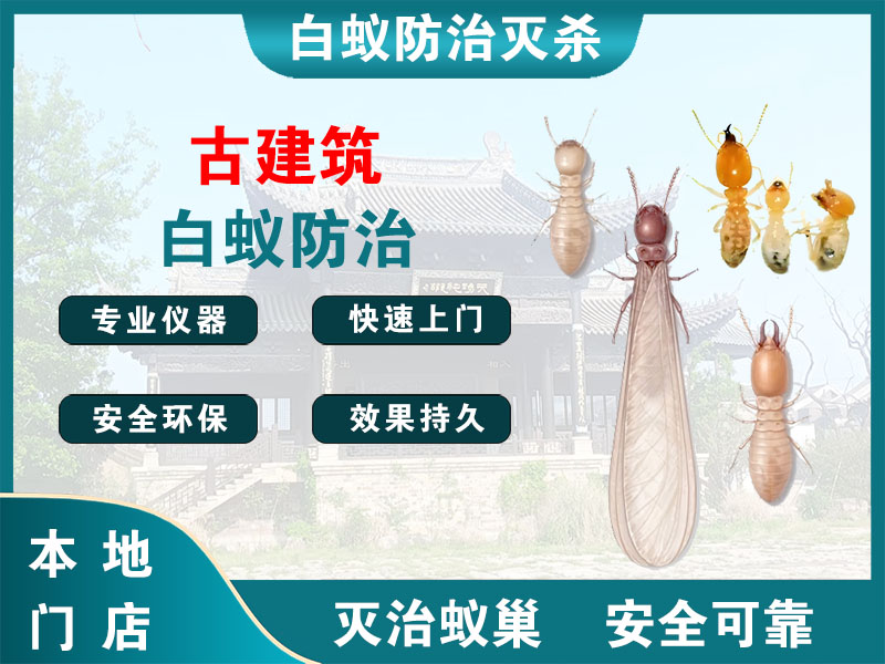 锡山区古建筑白蚁防治