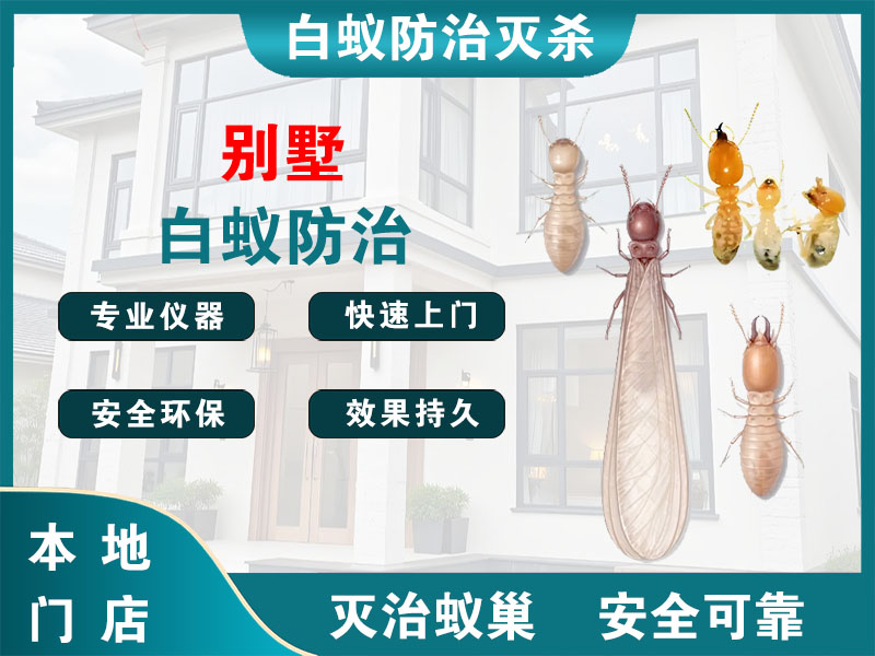 锡山区别墅白蚁防治