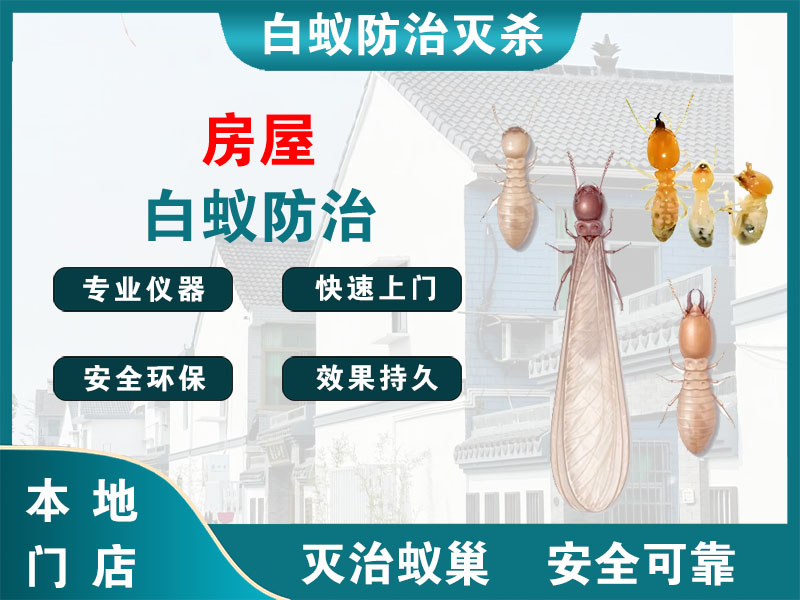锡山区房屋白蚁防治